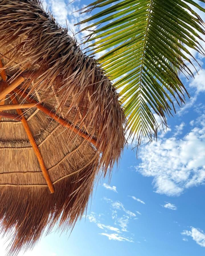 La Puerta Azul Beachfront - Adults Only Isla Holbox Exterior photo